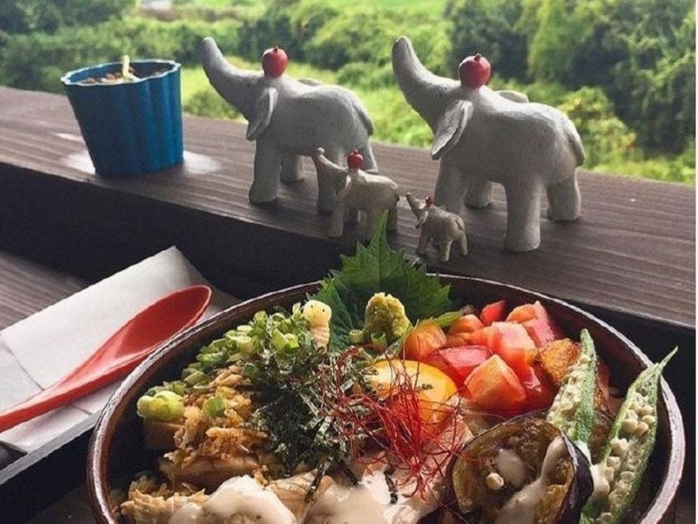 クスノキ食堂