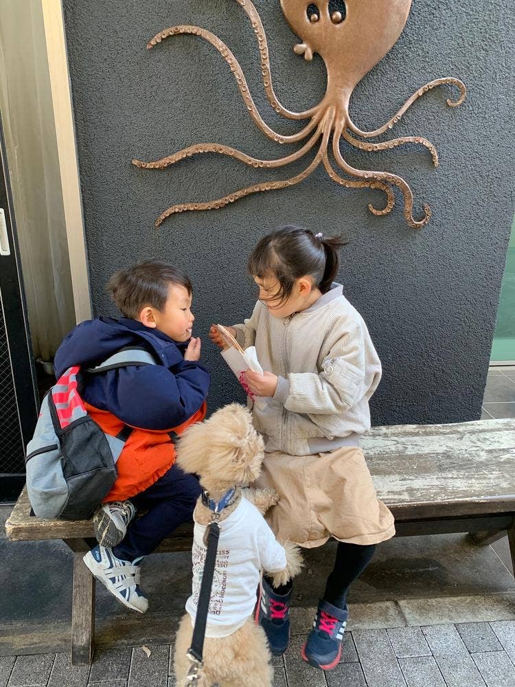 丸焼きたこせんべい 長谷店