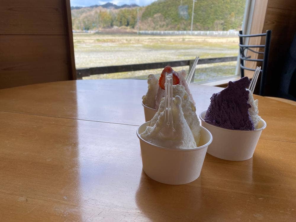 橋本牧場 イタリアンジェラート アイス工房