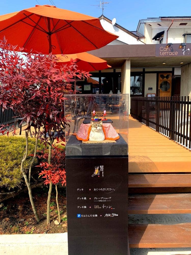 カフェテラスわさび