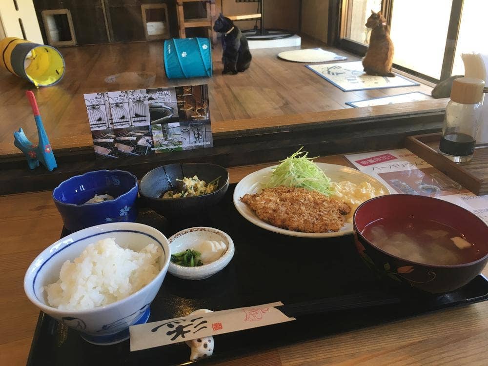 くつろぎ古民家 まめ猫