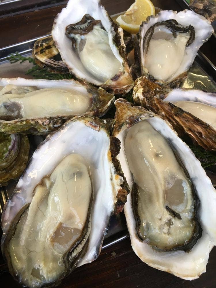 マルナカ水産 マルマ本店