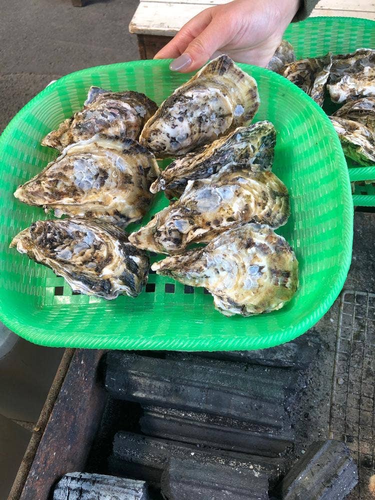 唐泊恵比須かき カキ小屋