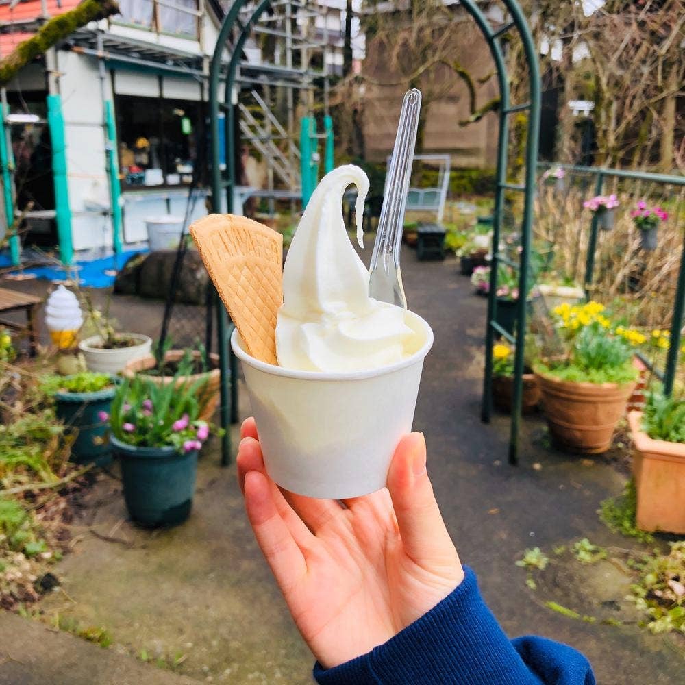 平泉寺のソフトクリーム屋さん