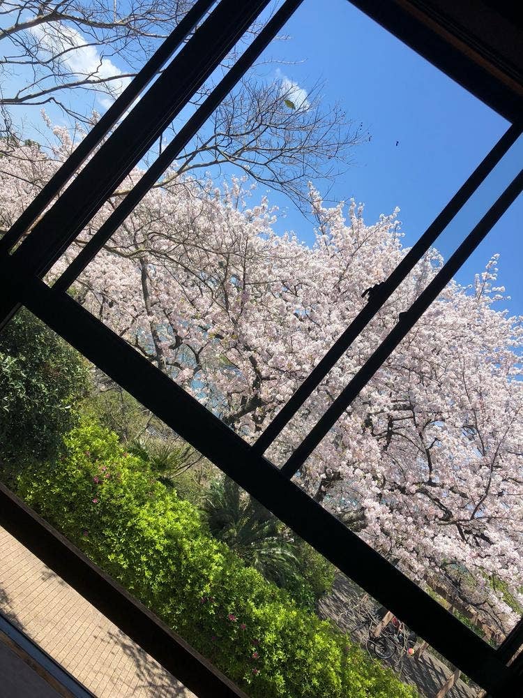 鵜来見亭