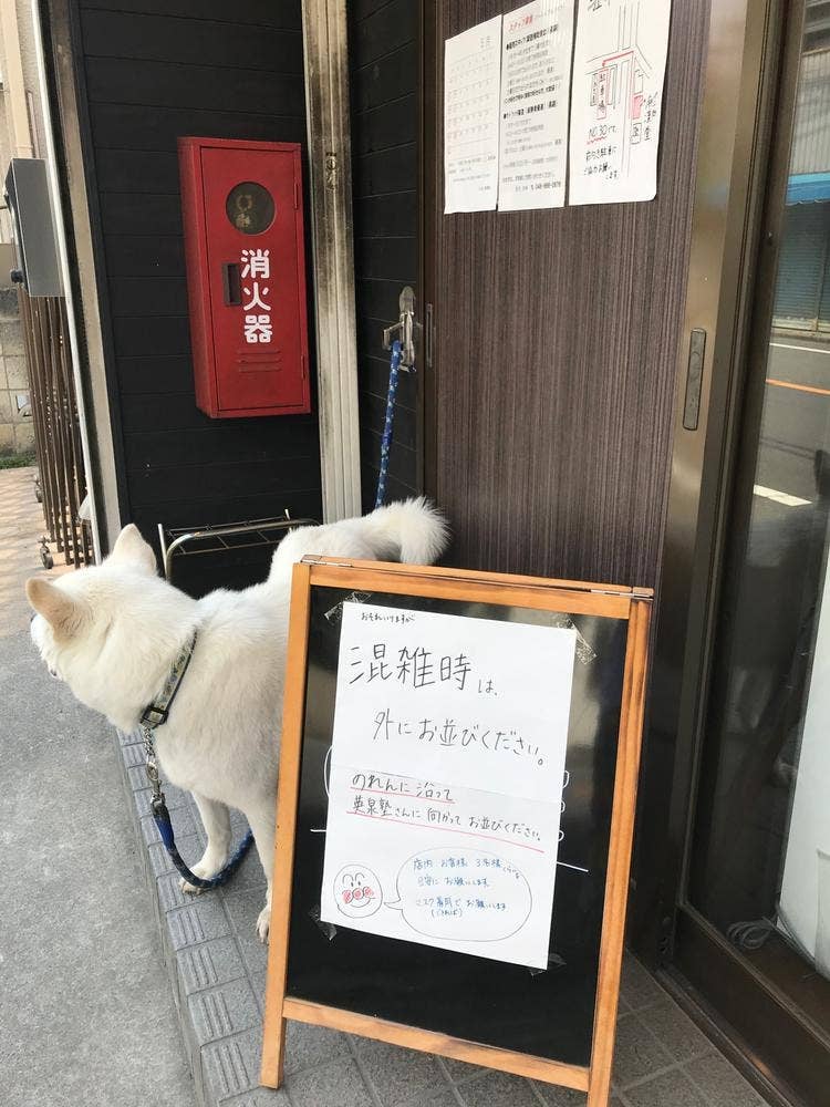 麻凛堂