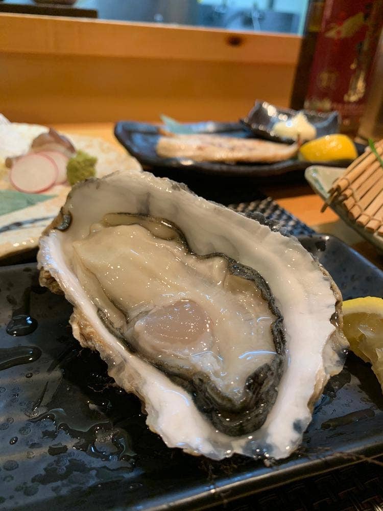 つくし