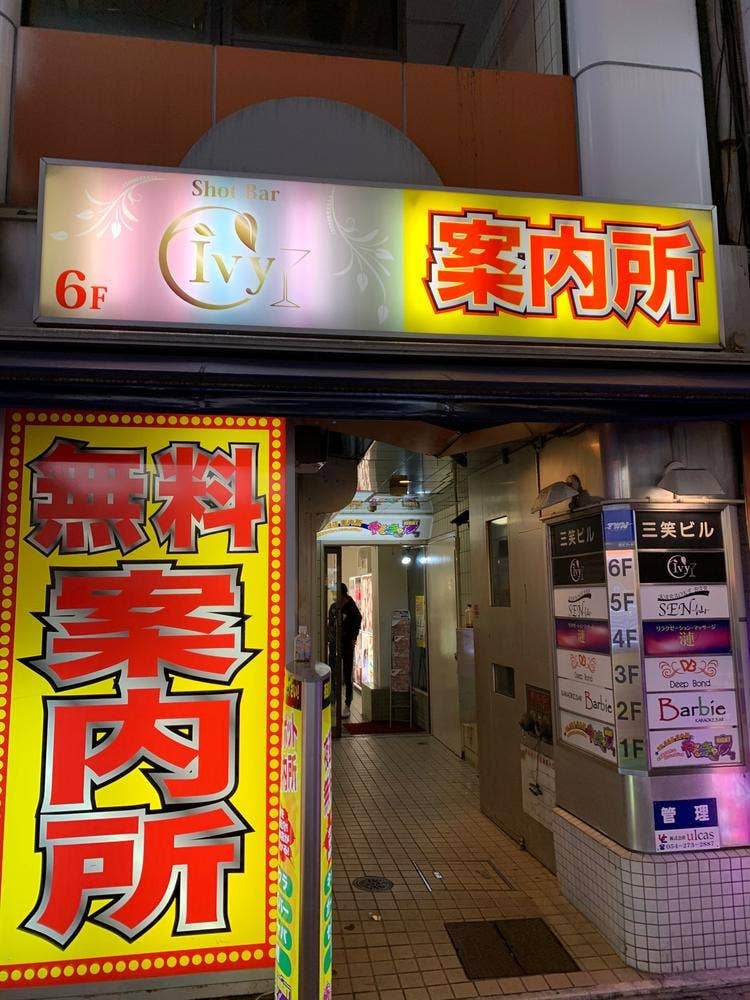 Ivy アイビー
