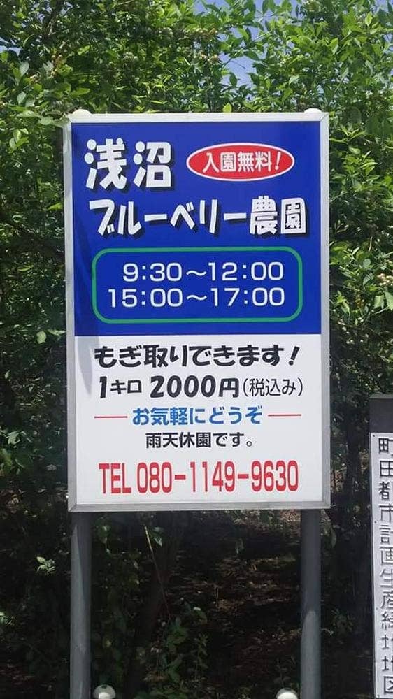 浅沼ブルーベリー農園