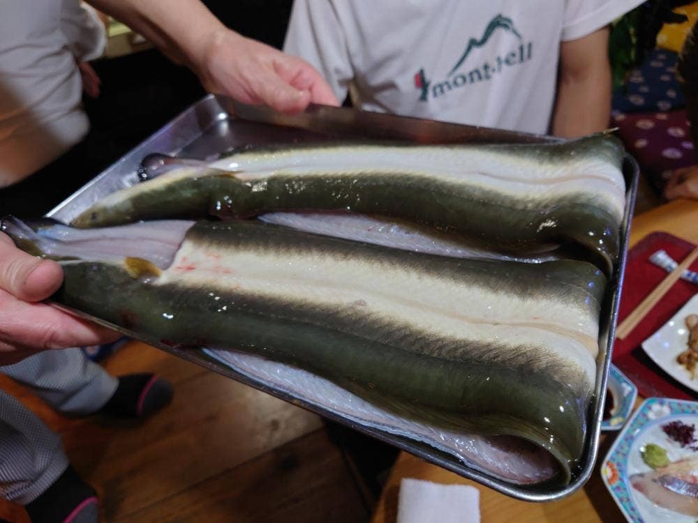 天然青うなぎ うじょう亭