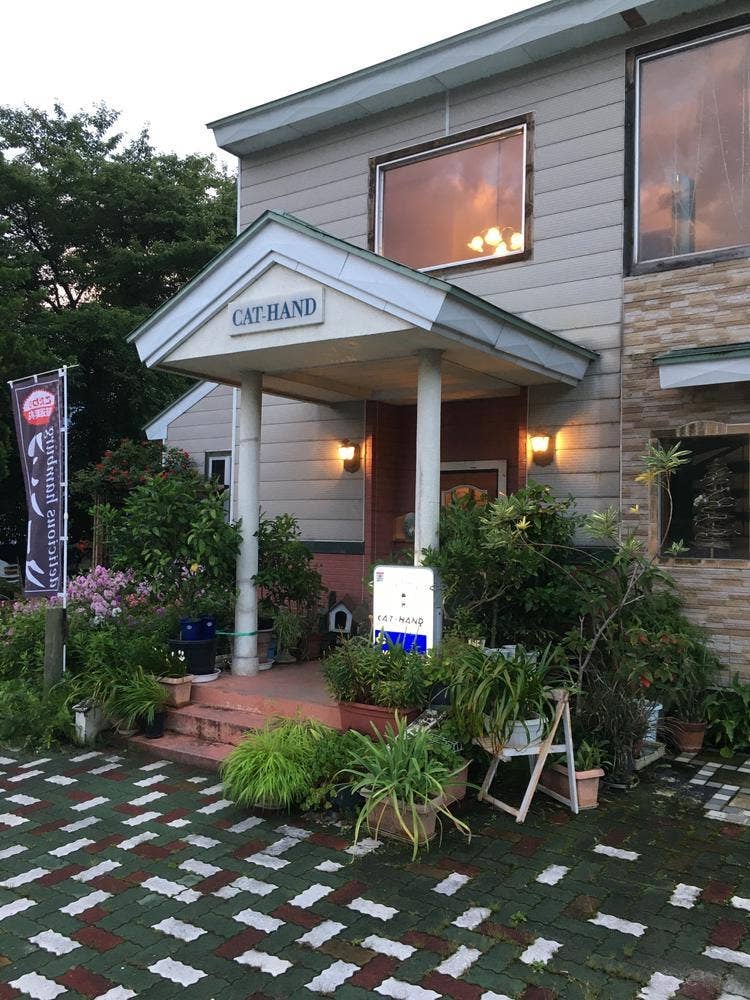 キャット・ハンド