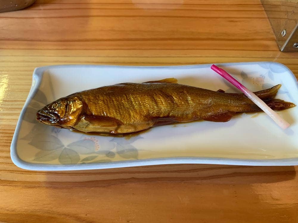 板取川 洞戸観光ヤナ