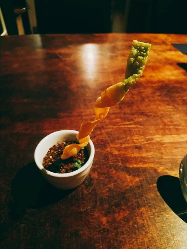 TRATTORIA NOBI