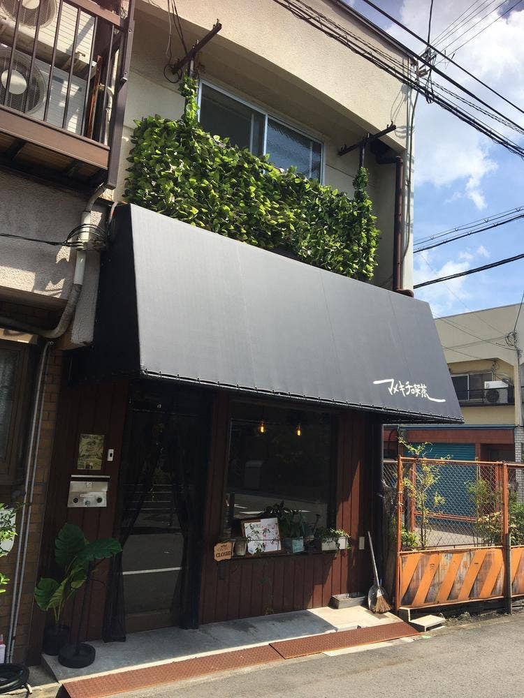 マメキチ喫茶