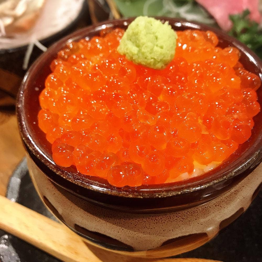 うまか道場