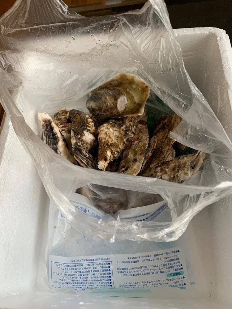 元祖かき小屋 スッツ・オイスタービレッジ