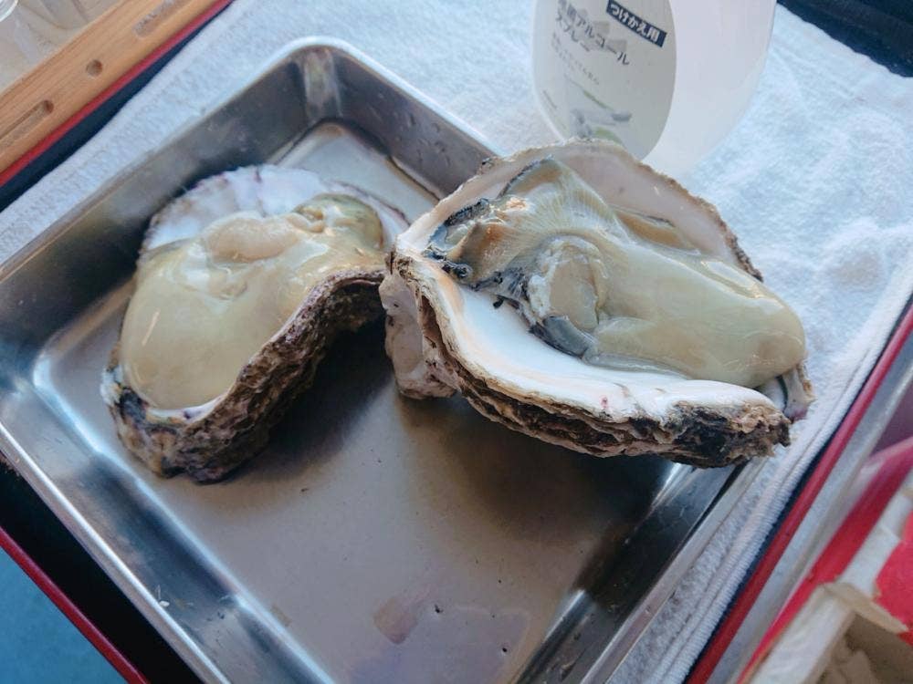 いわき・ラ・ラ・ミュウ