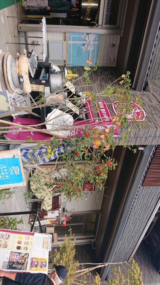 腸詰屋 八幡宮前店