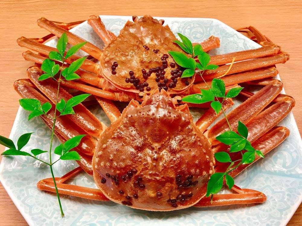 郷土料理 福井地酒 はやし