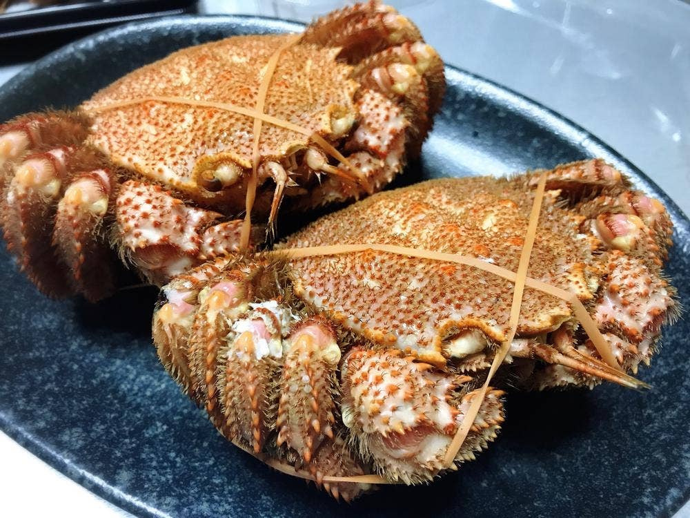 毛蟹工房