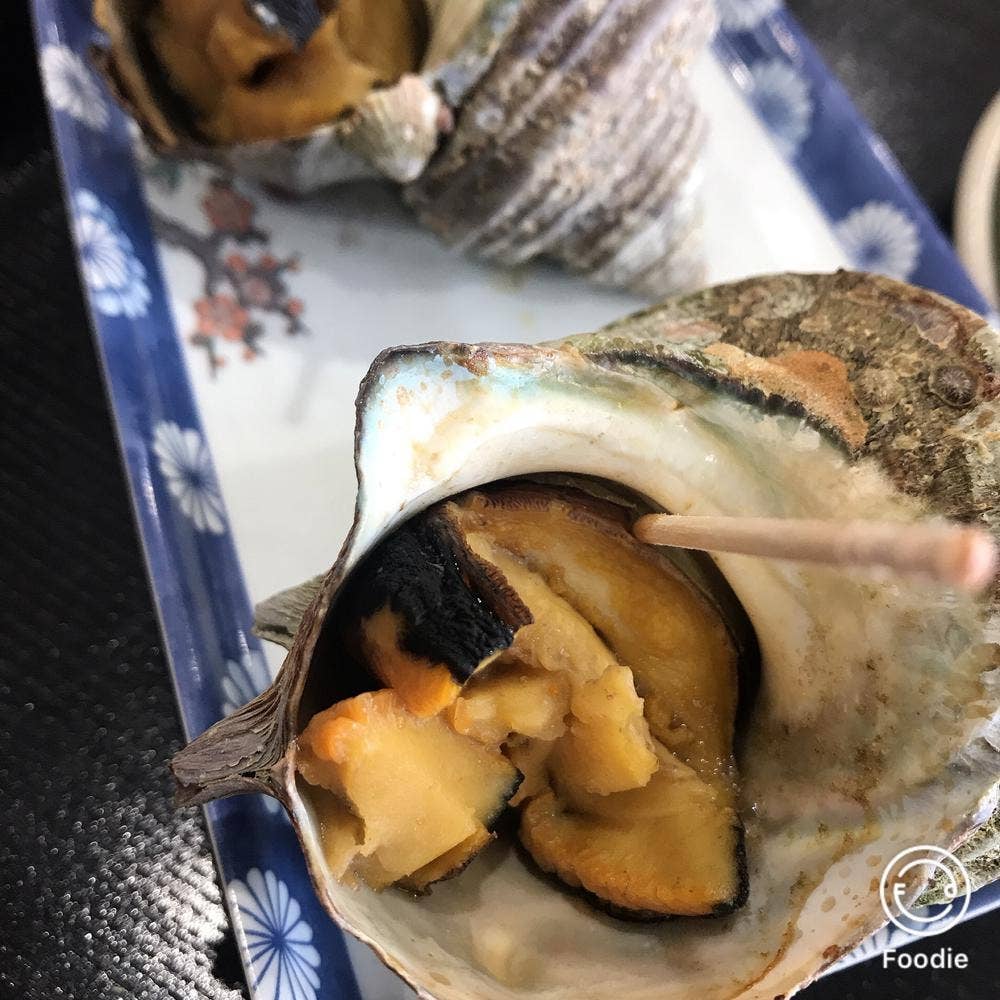 貝の家岬