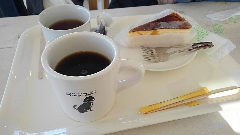 Dog Barrier free Cafe 茂原珈琲
