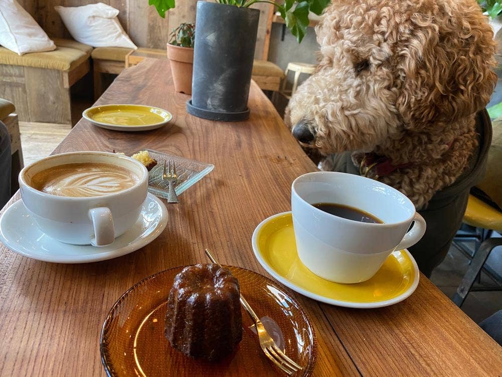 UPUP COFFEE SHOP.