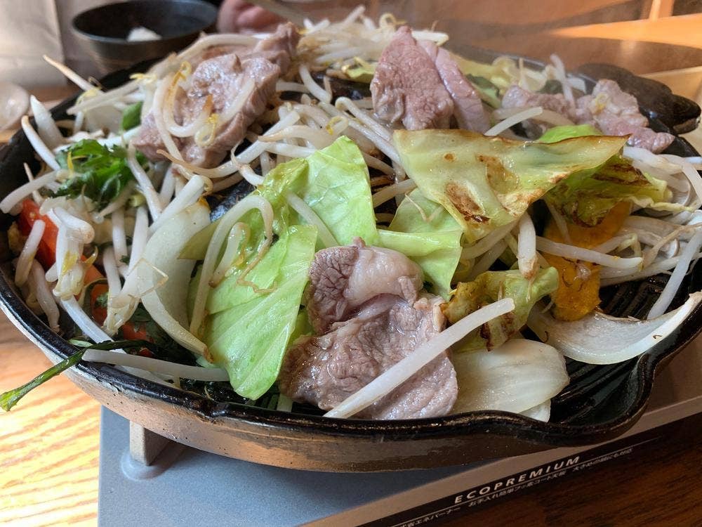 ジンギスカン山力