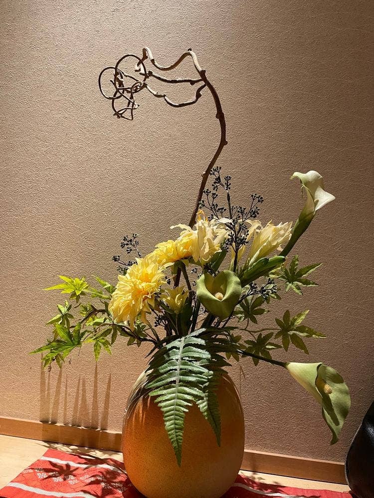 月あかり ららぽーと海老名店