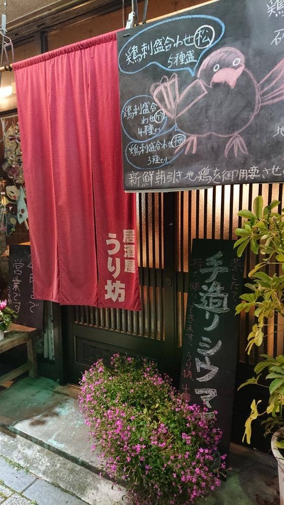うり坊