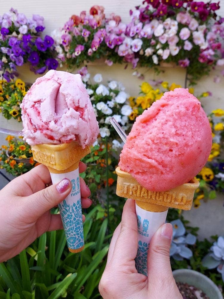 糸島手造りハム