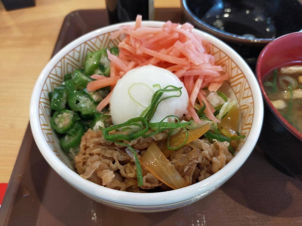 すき家 296号多古店