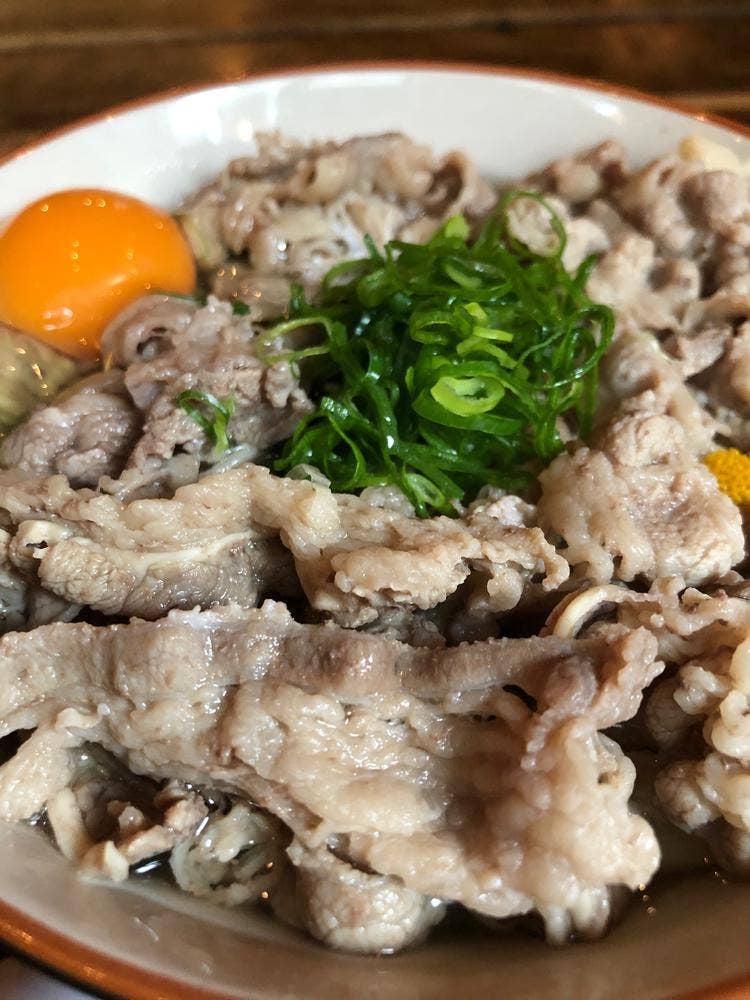 海で魚を食べる鳥