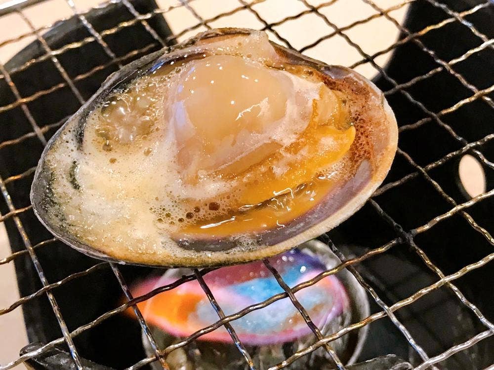 房総白浜ウミサトホテル