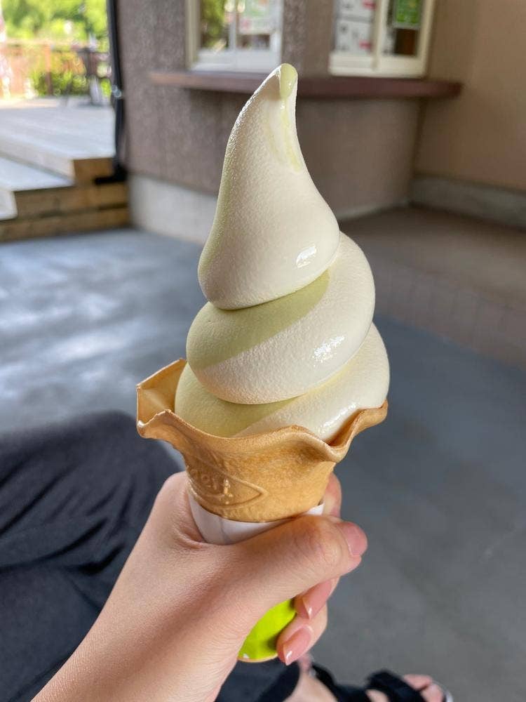 河口湖ハーブ館 喫茶コーナー