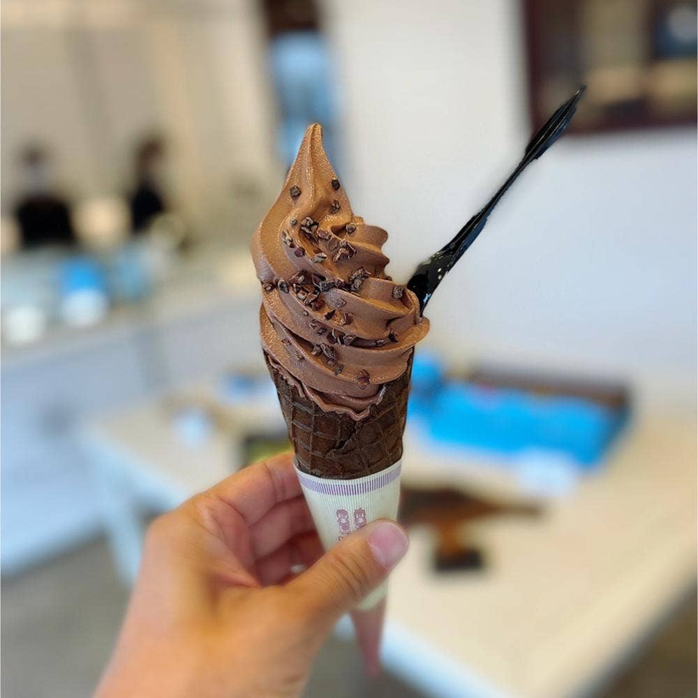 ORDINAIRE CHOCOLAT