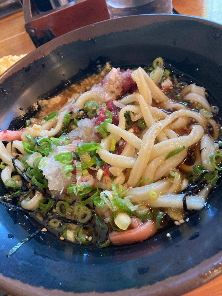 黒潮うどん