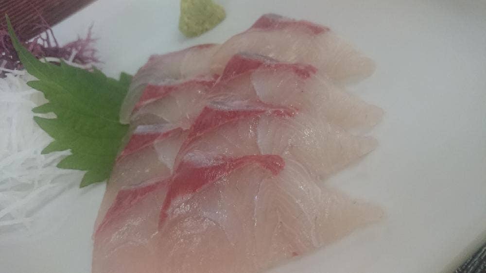 鯛次郎