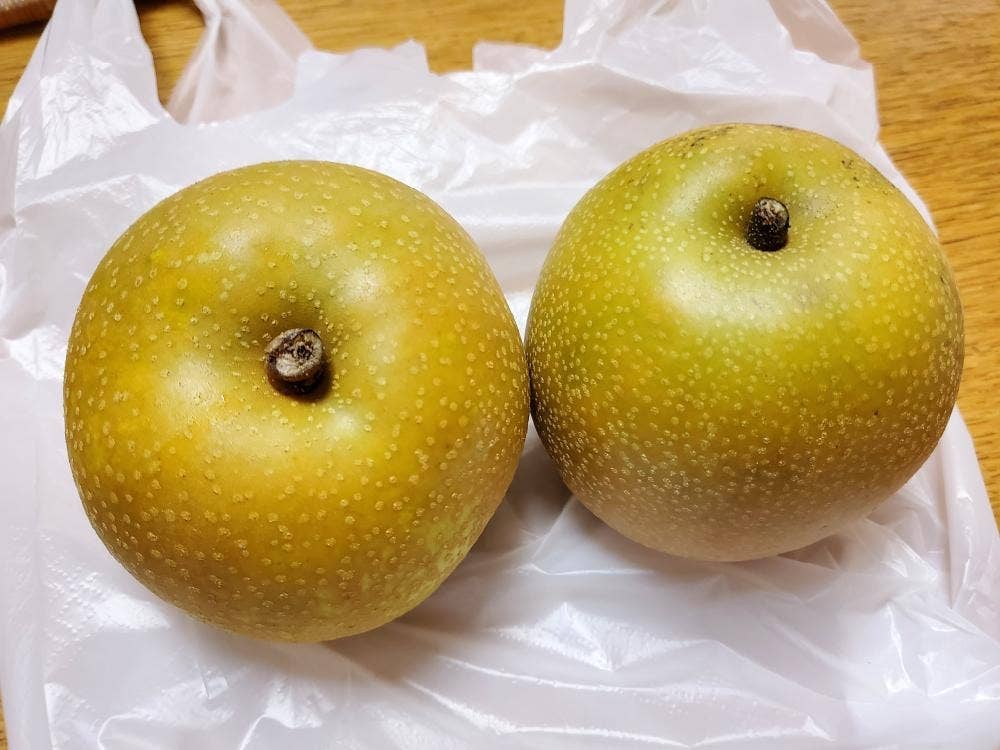 倉川梨園 直売所