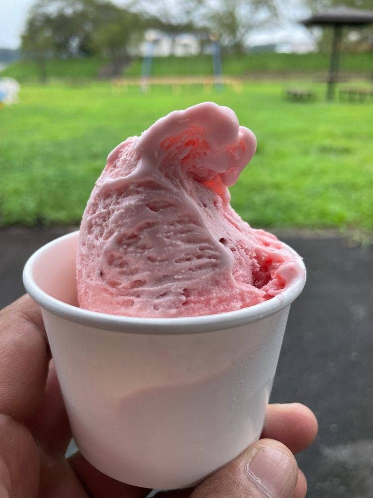 Premium Gelato みるく 道の駅 サシバの里いちかい
