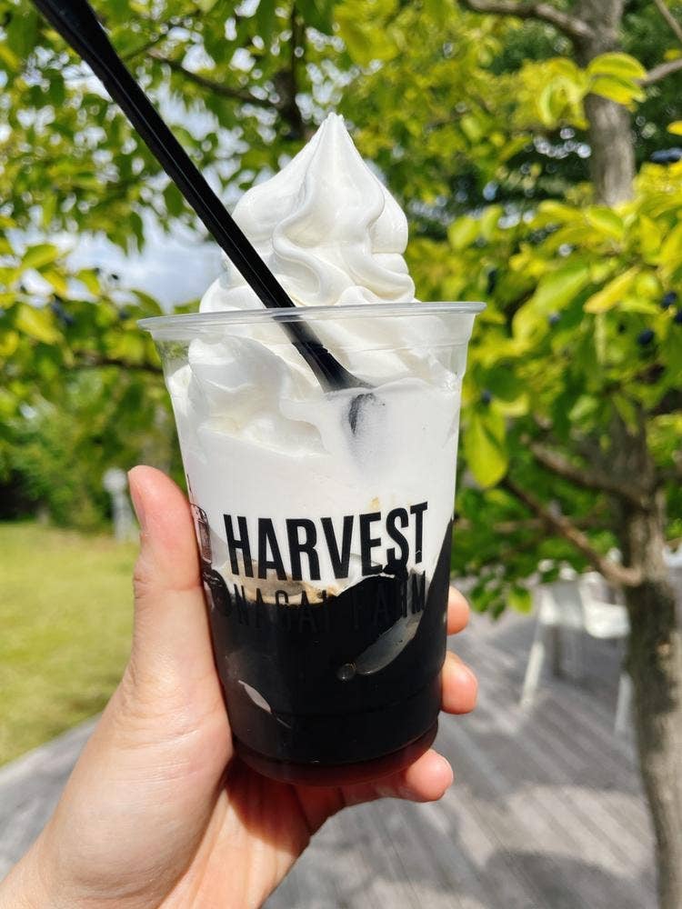 HARVEST NAGAI FARM 東御店