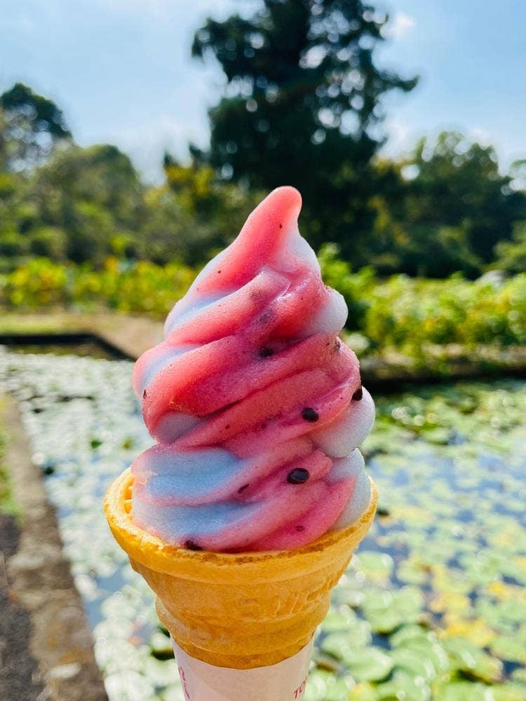 フラワーセンター 大船レストハウスペオニア