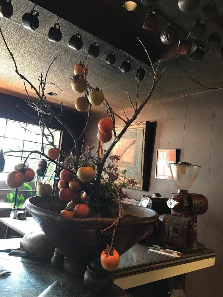 珈琲館 ドン
