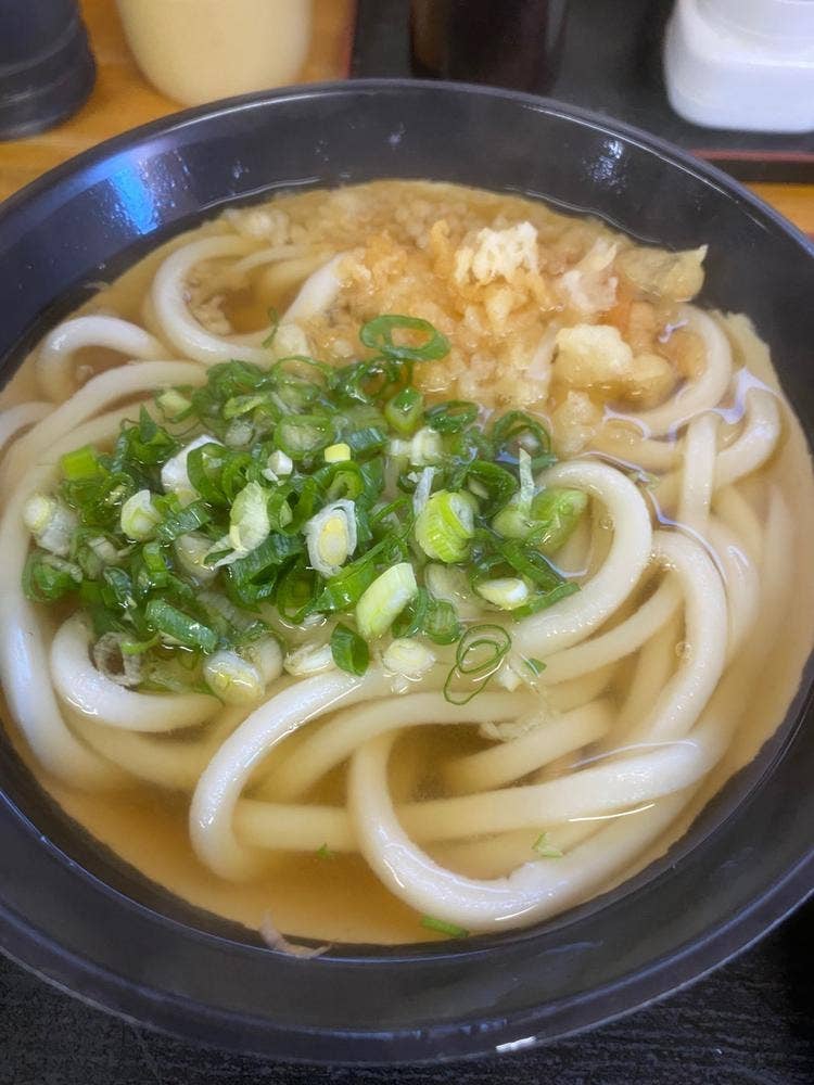 手打ちうどん いおき家