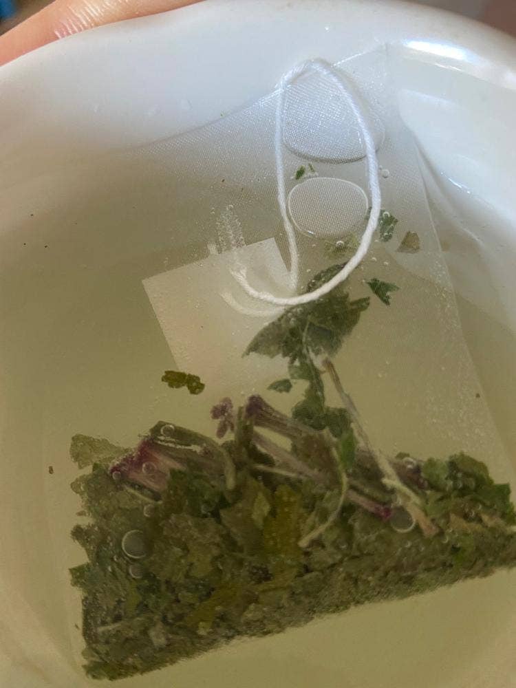 森藩別邸