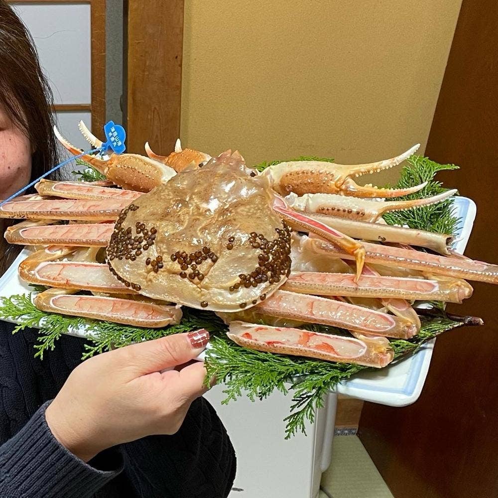 民宿 園