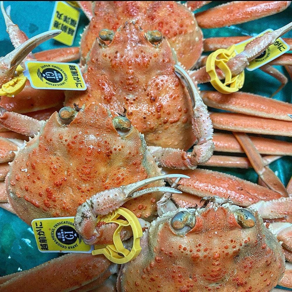 旬菜鮮魚と旨い酒 わらび 片町店