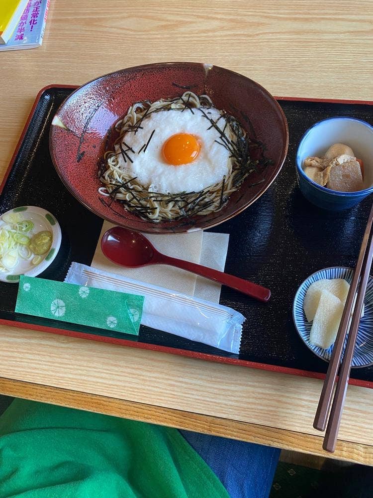 もりの樹