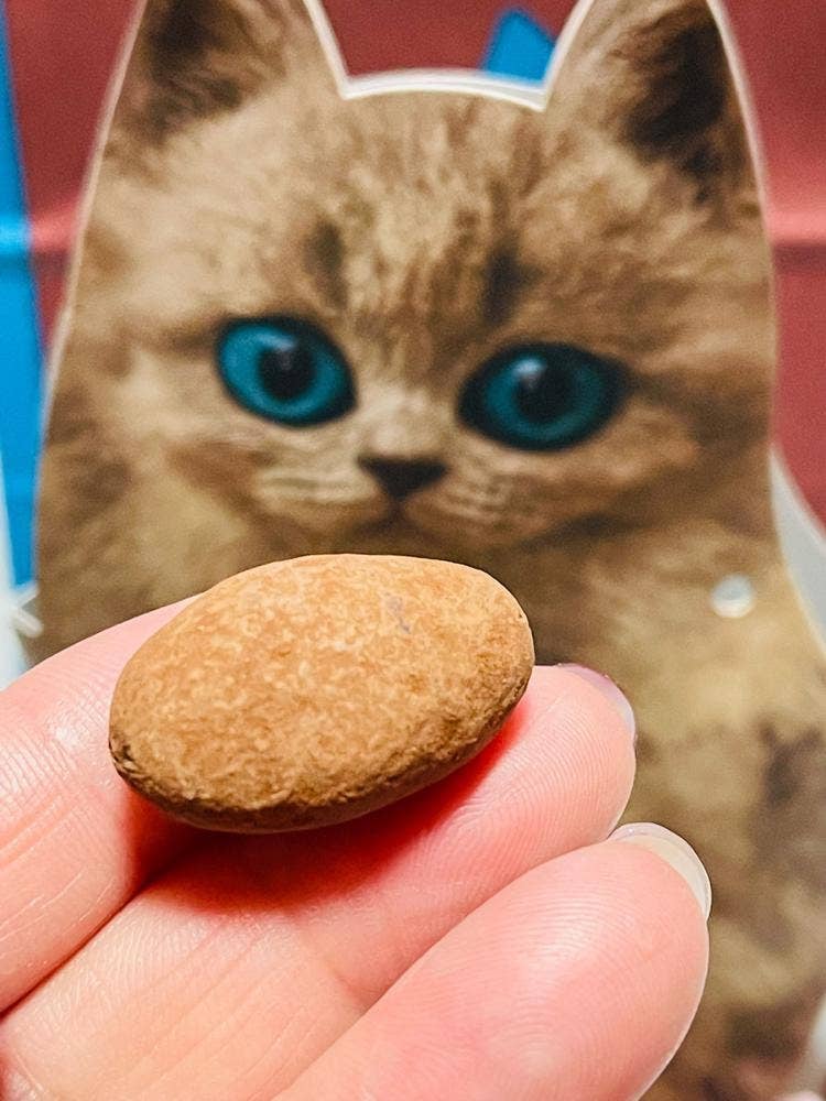 シャトロワ umieモザイク店