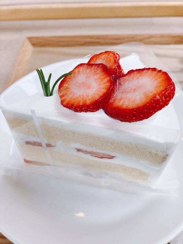 CAKE NATURE ASHIYA